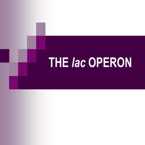 Lac operon