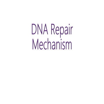 DNA repair mechanism