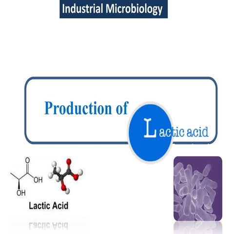 Production of lactic acid
