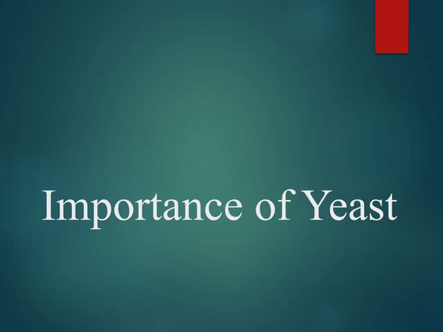 Importance of yeast