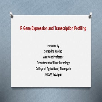 R Gene Expression and Transcription Profiling
