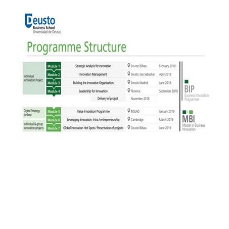 MBI Programme Structure