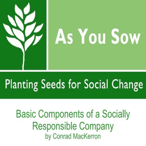 Components of a Socially Responsible Company