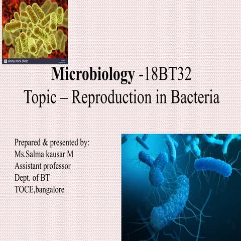 reproduction in bacteria