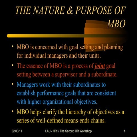 Mbo%20compiled[1]
