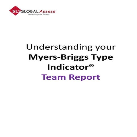 MBTI Team Report