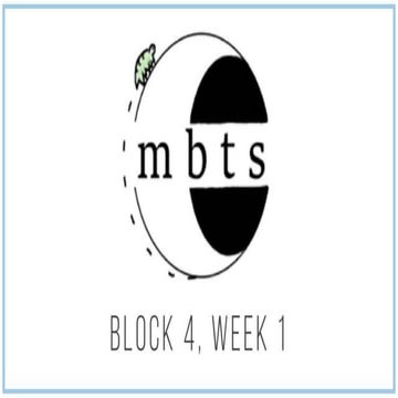 Mbts round 4 week 1