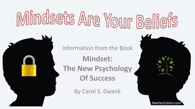 Do You Have Fixed or a Growth Mindset