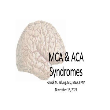 Mca &amp; aca syndromes