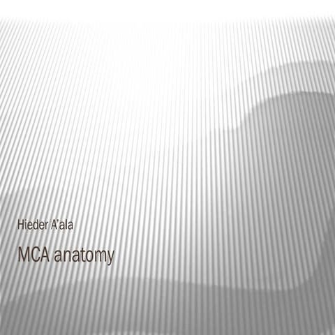 Mca Anatomy Ppt