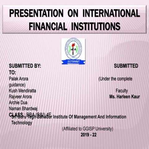 International Financial Institutions