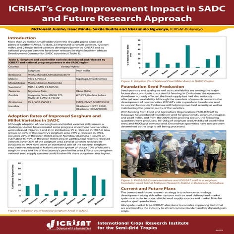 ICRISAT’s crop improvement impact in SADC and future research approach