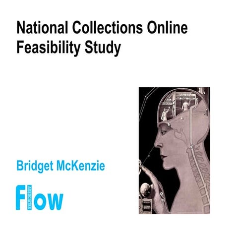 National Collections Online Feasibility Study