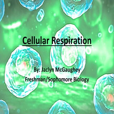 Mc gaughey, jaclyn cellular respiration