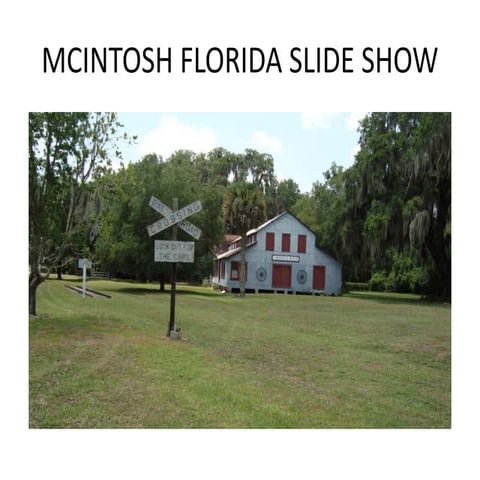 Mcintosh Florida Slide Show