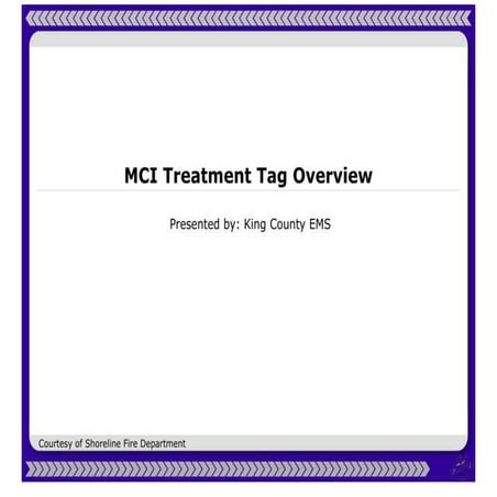 MCI Treatment Tag Overview | PPT