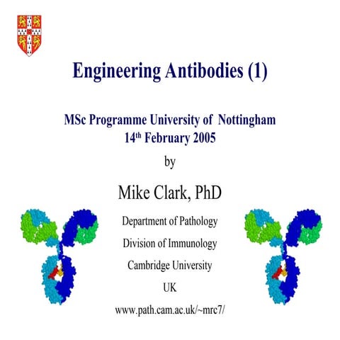 mclark engineeringa ntibodies from Department of Pathology