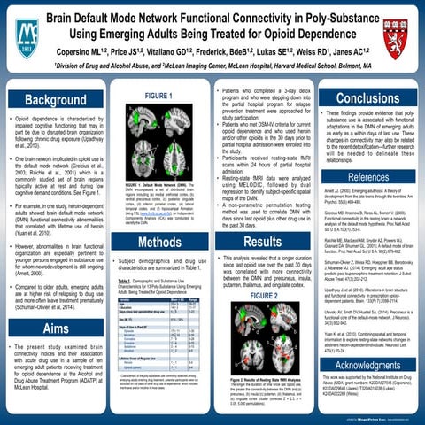 Brain Default Mode Network Connectivity in Emerging Adults with Opioid ...