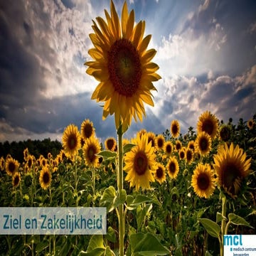 MCL Slides "Ziel en Zakelijkheid' workshops > Compassie in de zorg > Project ...