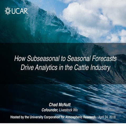 How Subseasonal to Seasonal Forecasts Drive Analytics in the Cattle Industry