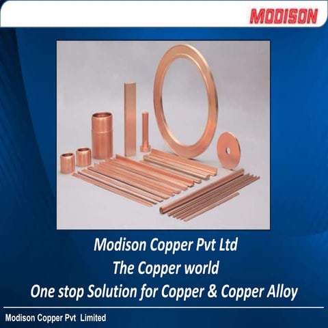 Modison Copper Private Limited | PPT