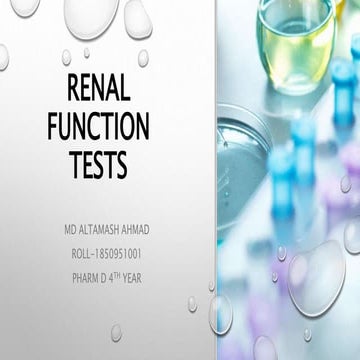 Renal Function Tests (RFT)
