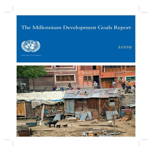 The Millennium Development Goals Report 2009