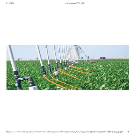 Irrigation System | PDF