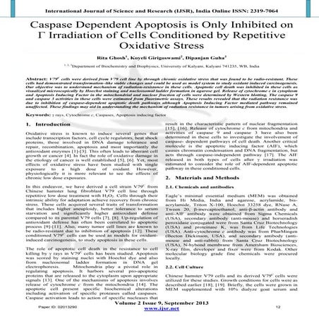 Caspase Dependent Apoptosis is Only Inhibited on Γ Irradiation of Cells Condi...