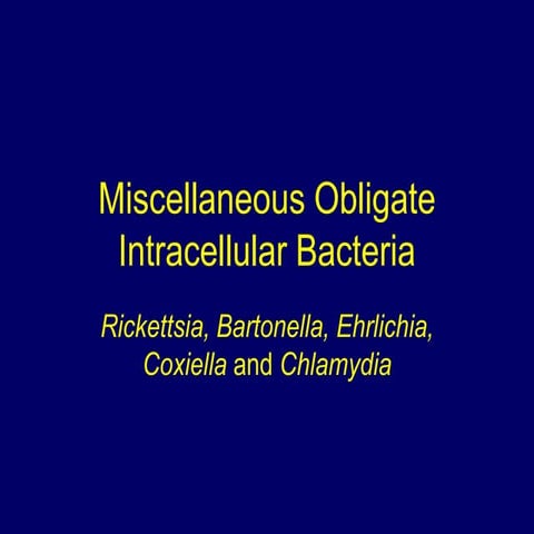 MDL 237 - Miscellaneous obligate intracellular bacteria