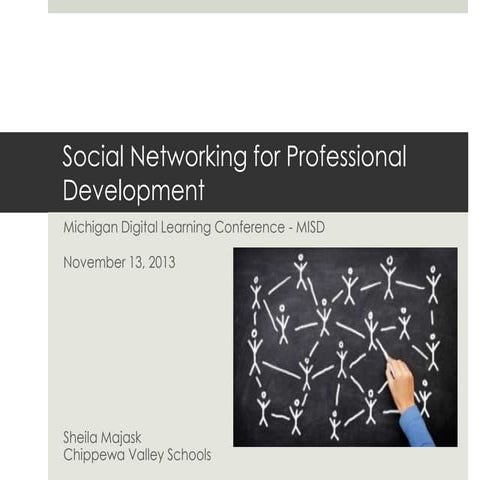 Social Networking for Professional Development