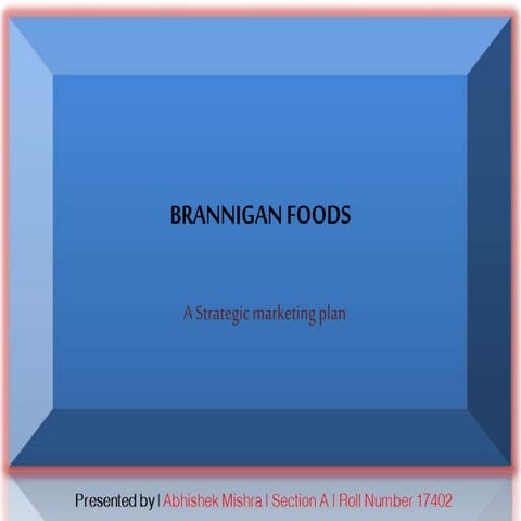 Brannigan Strategic Marketing Plan