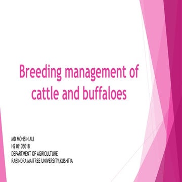 Breeding management of cattle and buffaloes