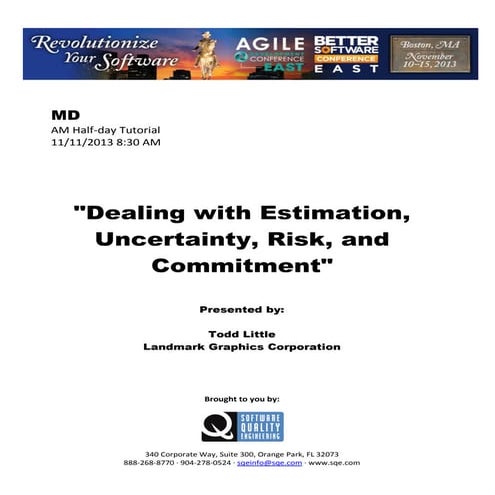 Dealing with Estimation, Uncertainty, Risk, and Commitment