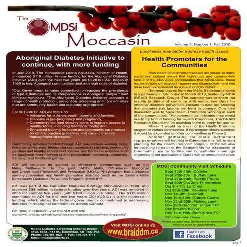 MDSi Mocassin Newsletter - Fall 2010 | PDF