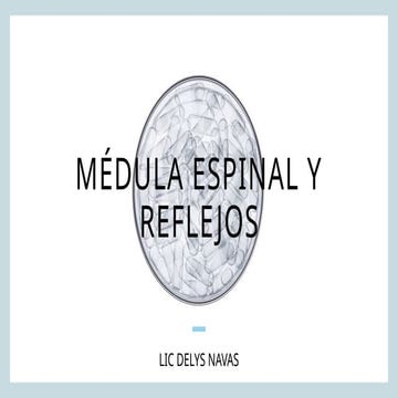 Metameras y desarrollo embrionario | PPTX