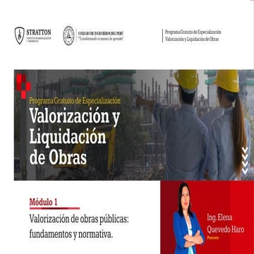 Guia RLCE | PDF