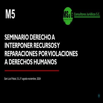 Módulo 1 Seminario Defensoría 2024 AulaMS&G