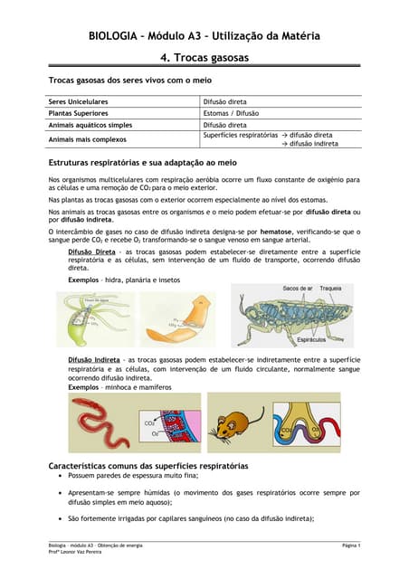 Módulo a3.4   trocas gasosas