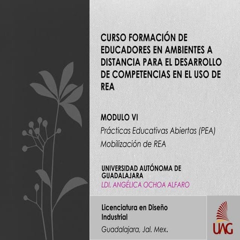 Módulo iv pea-movilizacion de conocimientos-ldi angelica ochoa
