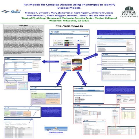 The rat genome database - genome browser | PPT