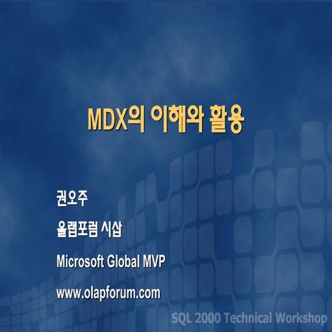 MDX의 이해와 활용