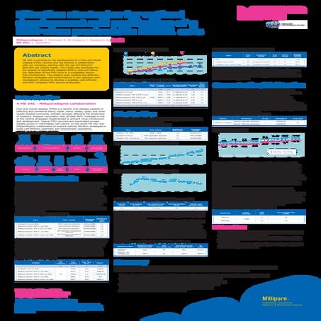 Filtration Strategies for Optimal Development and Purification of a FMD Virus Produced in BHK1 Cells
