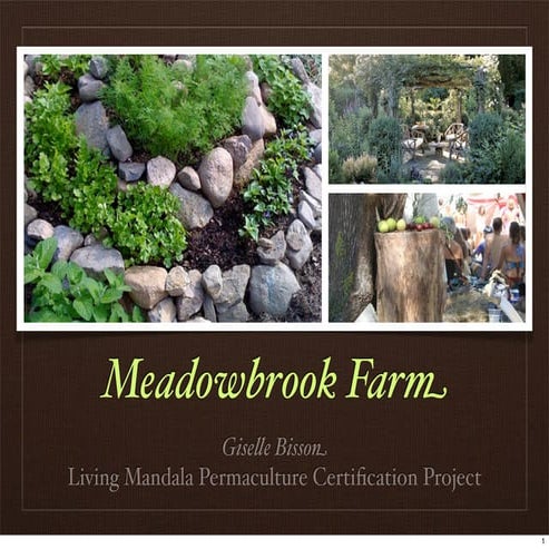 Meadowbrook Permaculture Ecovillage 