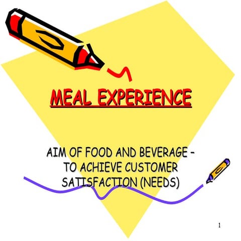 Meal Experience