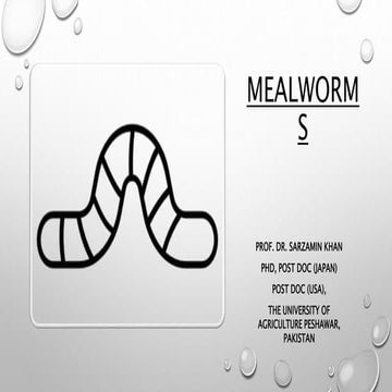 Mealworm as a sustainable Feed resource | PPTX