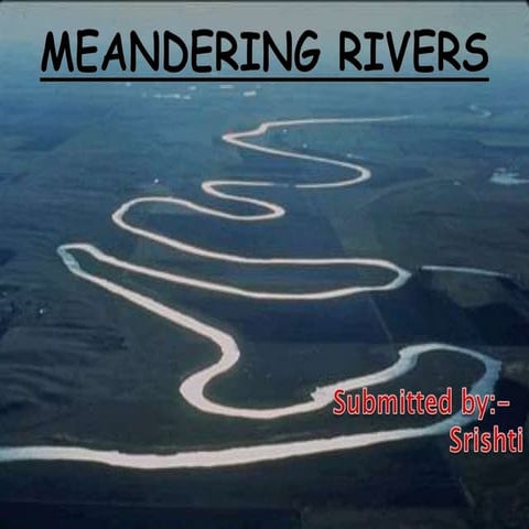 Meandering rivers