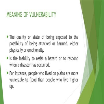 Meaning-of-vulnerability (4).pptx Disaster