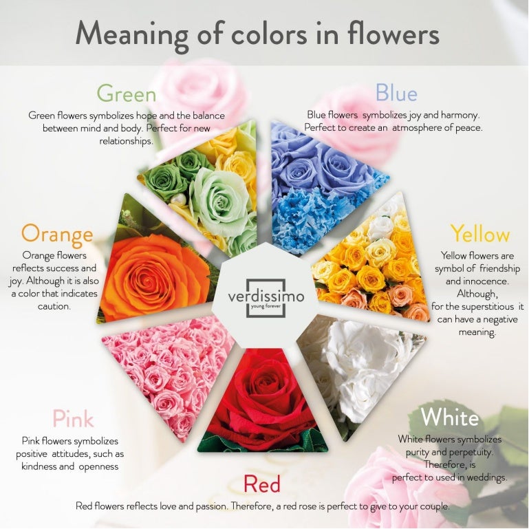 meaning-of-colors-in-flowers