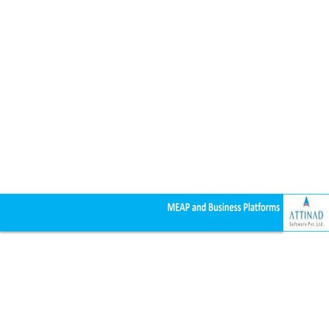Meap and business platforms